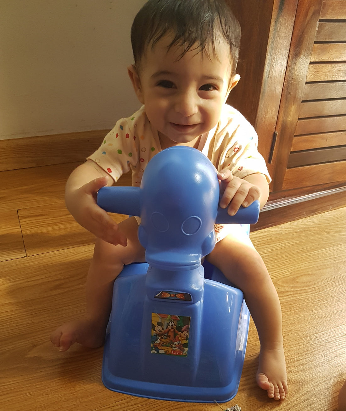 Child Development Toys